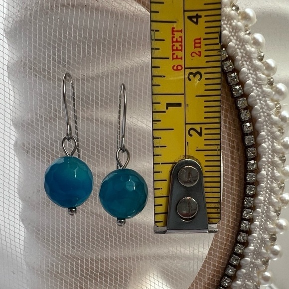 Blue Agate Stainless Steel Drop Earrings - Picture 7 of 12